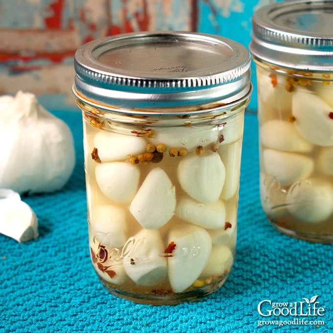 TikTok's Favorite Pickled Garlic